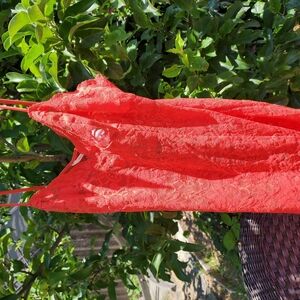 Victoria's Secret Fiery Red Lace Top